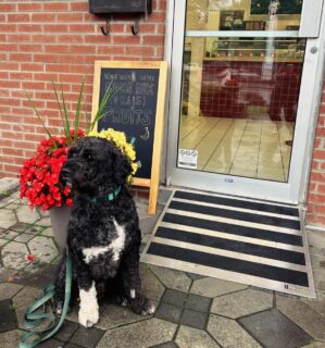 Cet été, la @cremerie.leschopines a fait un pas de plus vers l’inclusion en s’équipant d’une de nos rampes d’accès pour accueillir les personnes en situation de handicap. 🧑‍🦽✨Bravo pour cette initiative! On adore voir des entreprises locales poser des gestes concrets pour accueillir tout le monde.📍 Passez les voir à Limoilou.Crédit photo : Crèmerie Les Chopines